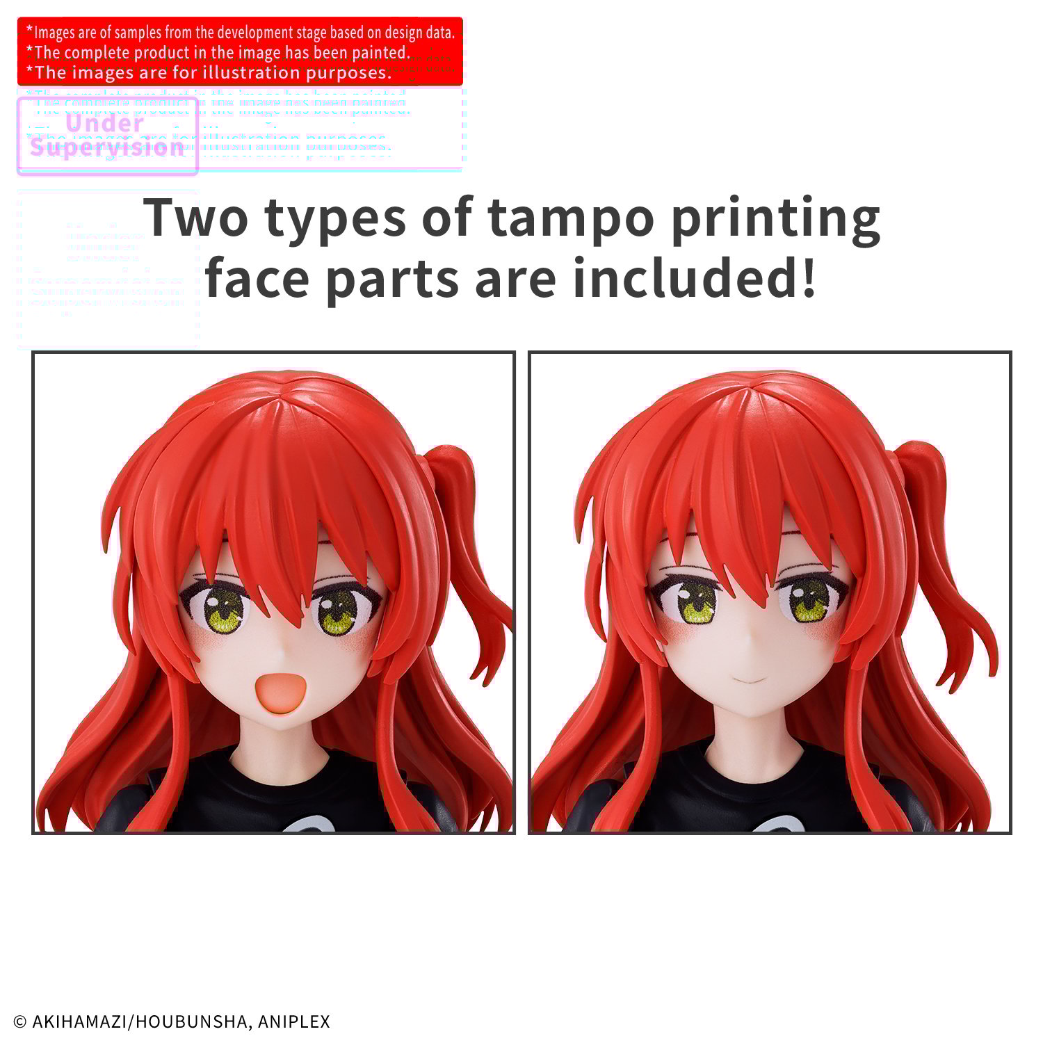 Image agrandie