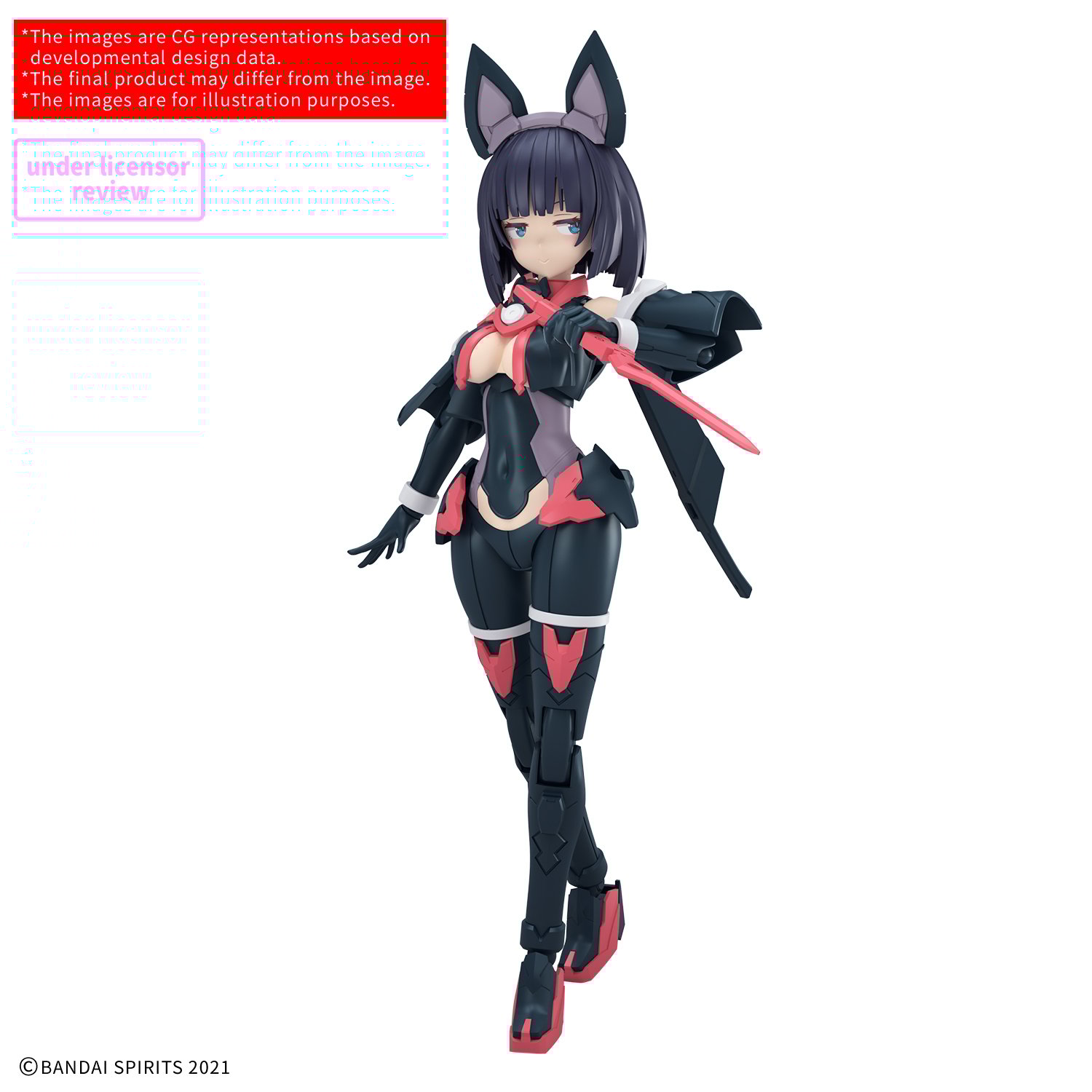 Image agrandie