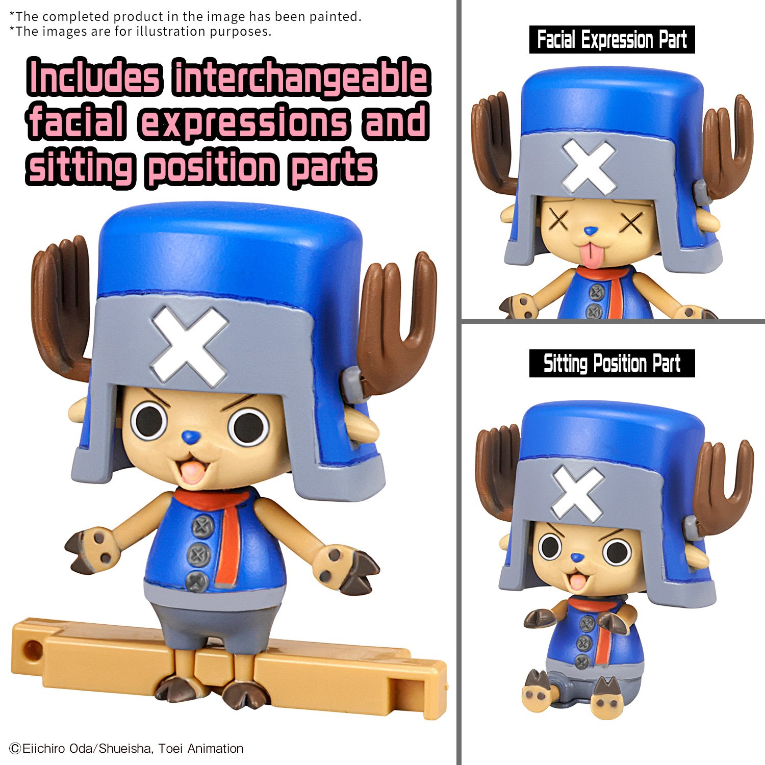 Image agrandie