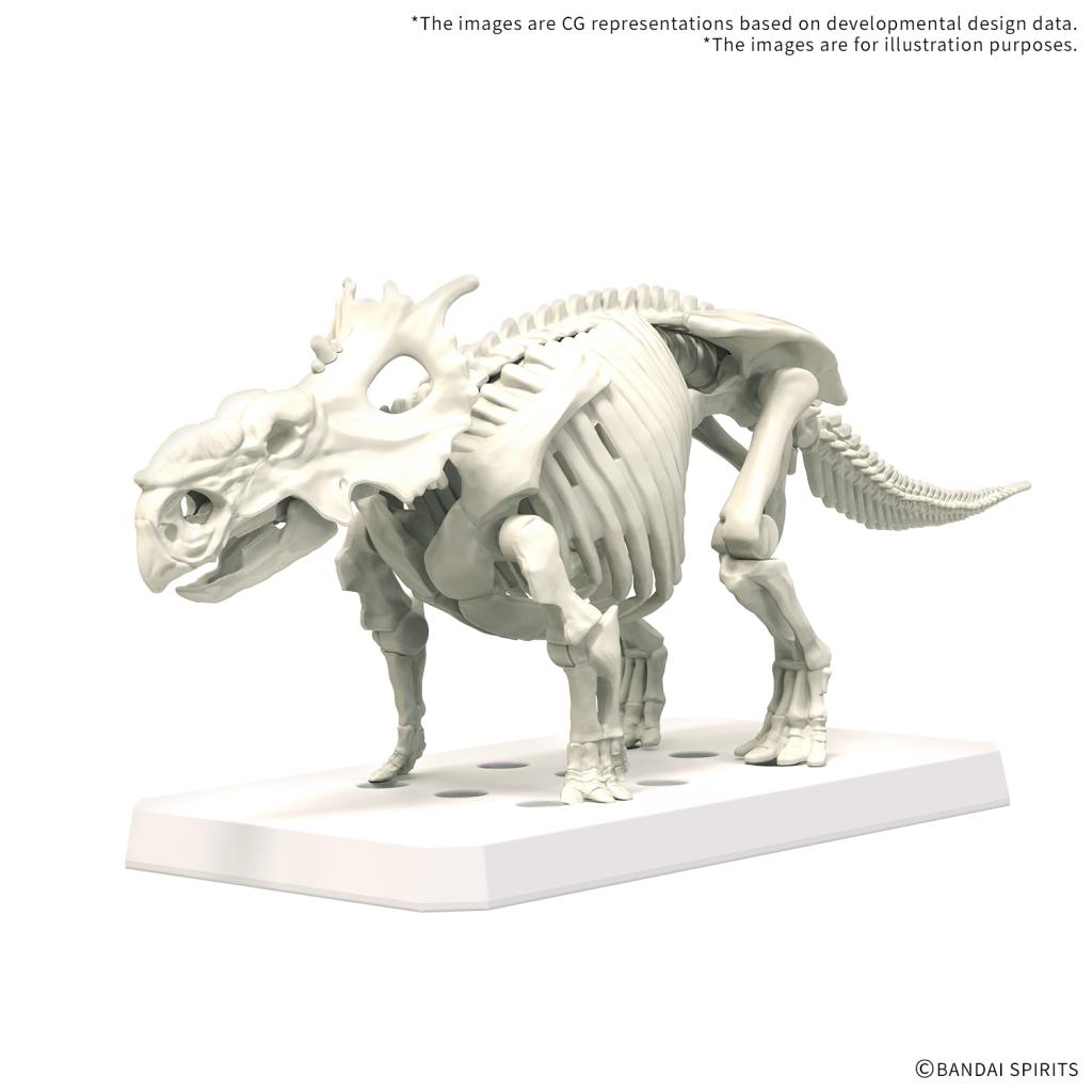 PLANNOSAURUS - Pachyrhinosaurus - Model Kit - 3