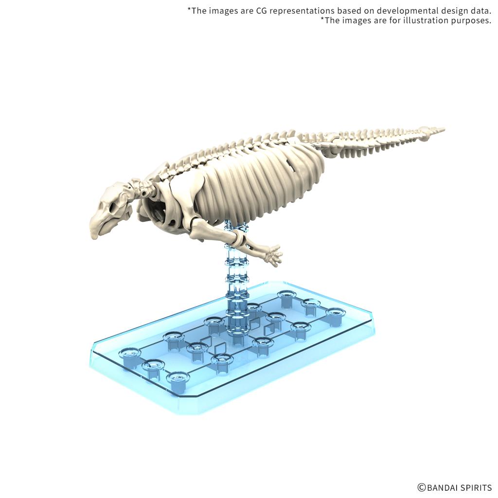 PLANNOSAURUS - Hydrodamalis Gigas - Model Kit - 2