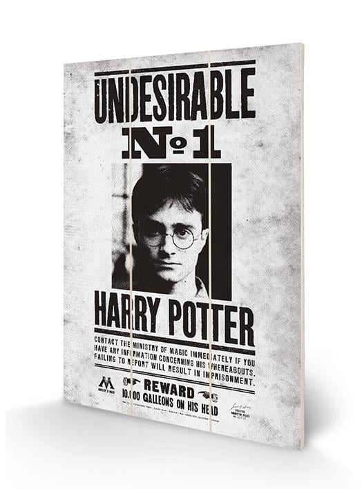 HARRY POTTER - Wood Print 20x29.5 - Undesirable No1 : ShopForGeek.com ...
