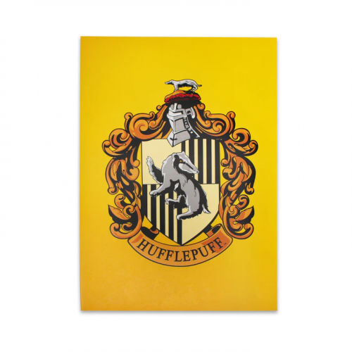 HARRY POTTER - SERPENTARD - BANNIÈRE MURALE '43X29X1CM