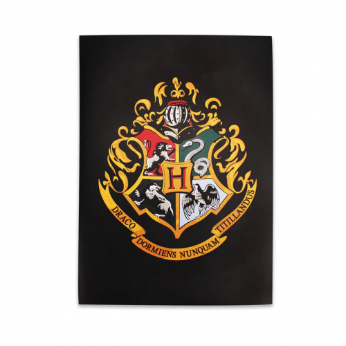 Harry Potter - Harry Potter - Mon journal secret (avec encre