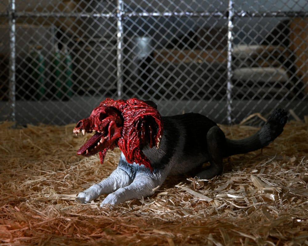 LA CHOSE - Chien 
