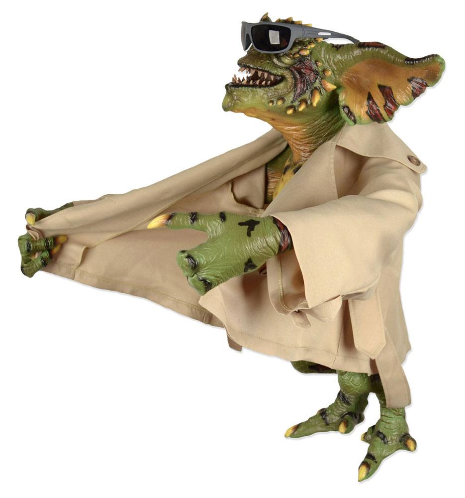 Image agrandie