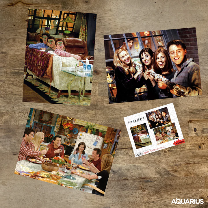 FRIENDS - 3 Puzzle 500P_IMAGE_3