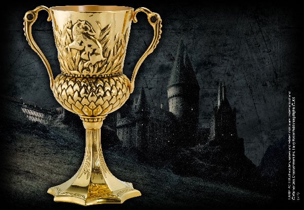 HARRY POTTER - The Hufflepuff Cup_IMAGE_2