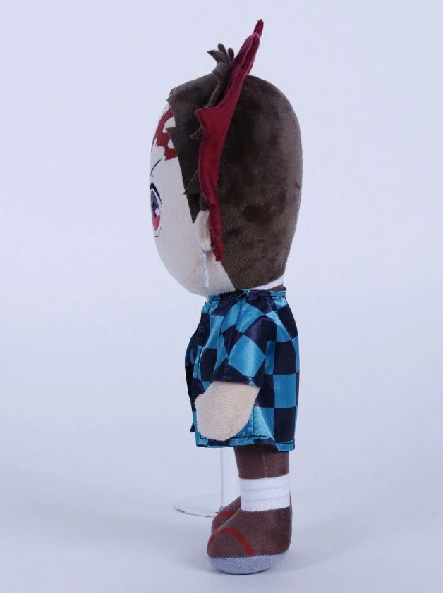 Image agrandie
