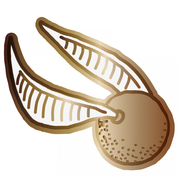 Image agrandie