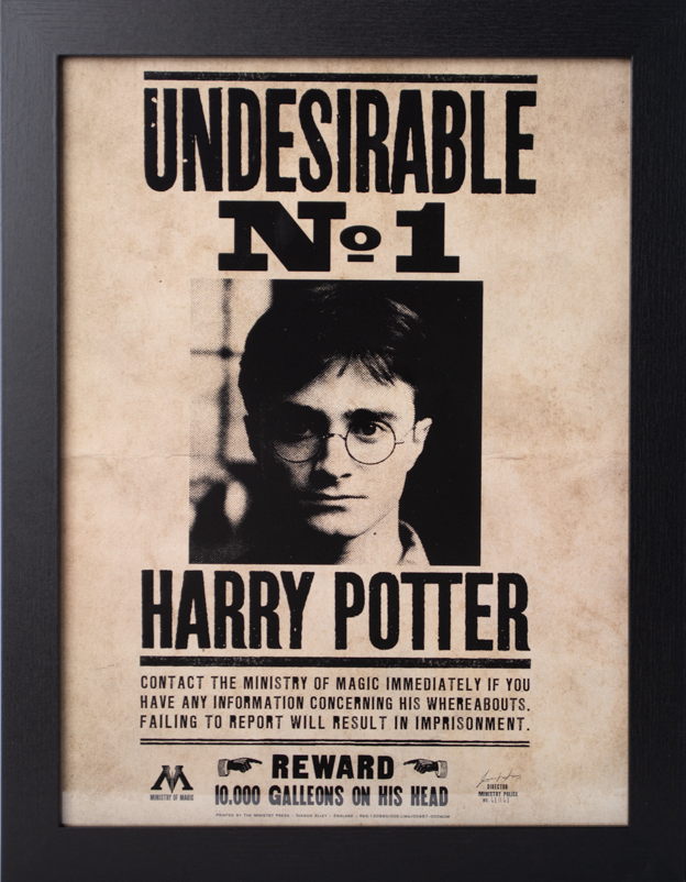 HARRY POTTER - Undesirable N°1 - Collector Print '30x40cm'_IMAGE_1