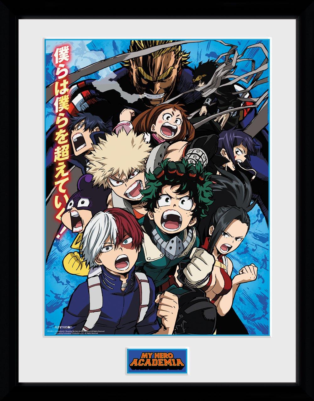 My Hero Academia 30 Collector