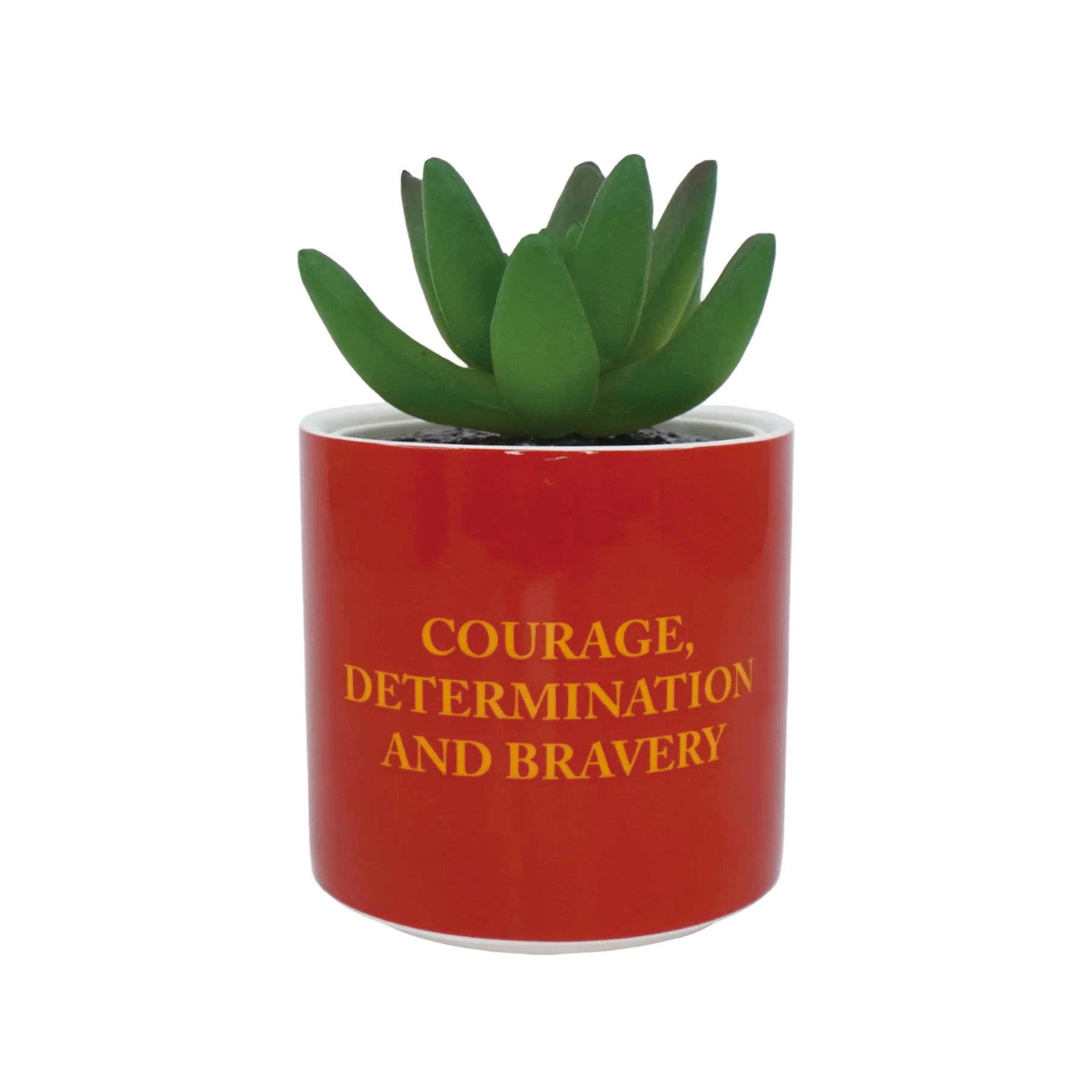 Image agrandie