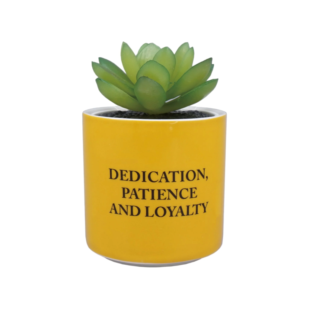 HARRY POTTER - Poufsouffle - Faux Pot à Plantes 6.5cm - 2