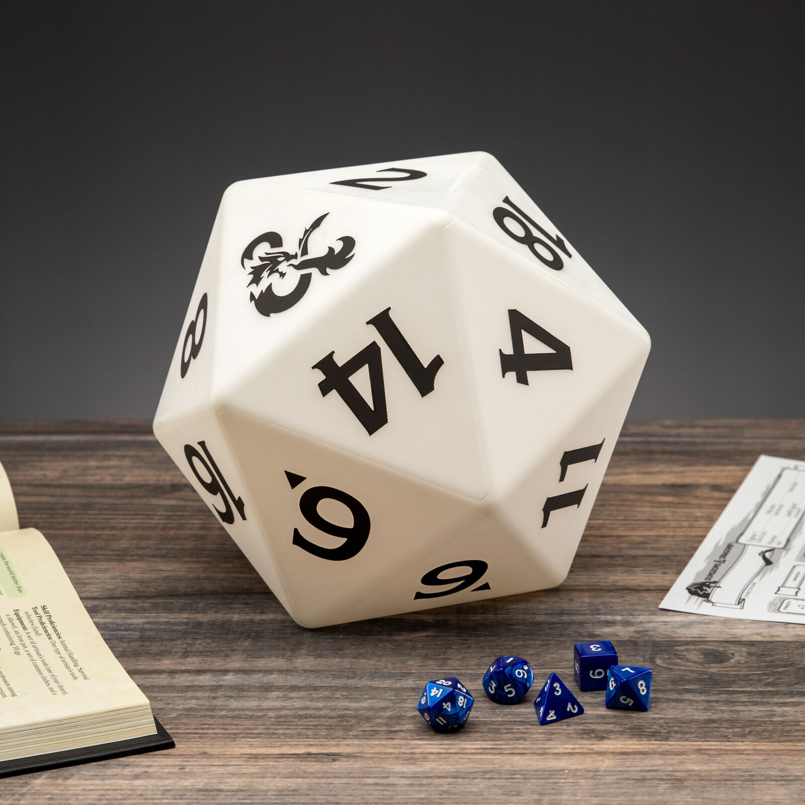 DUNGEONS & DRAGONS - D20 - Light_IMAGE_2