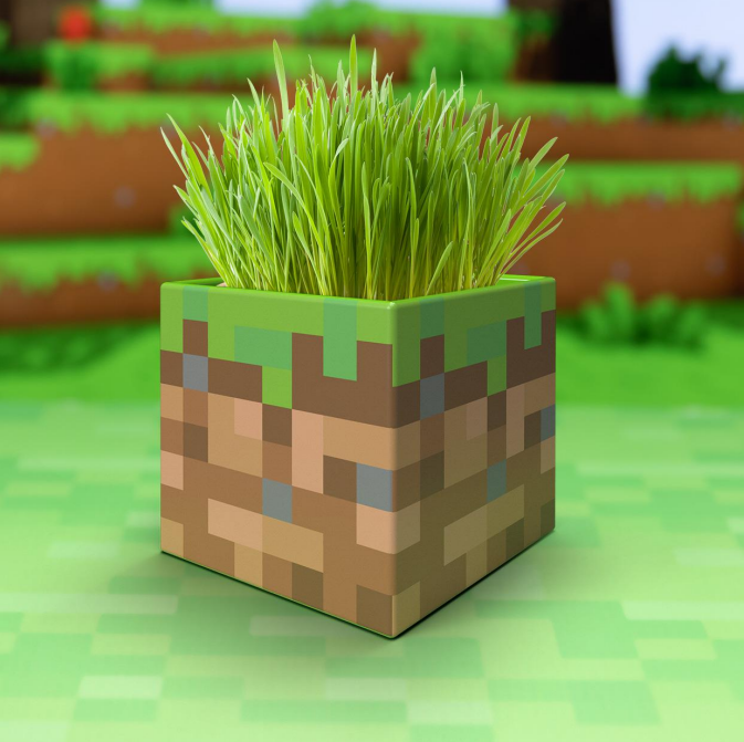 MINECRAFT Grass block Shaped Plant and Pen Pot