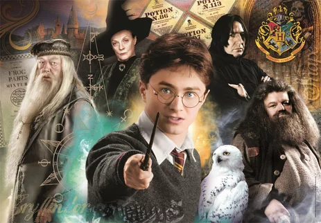 HARRY POTTER - Harry - Puzzle 500P - 2