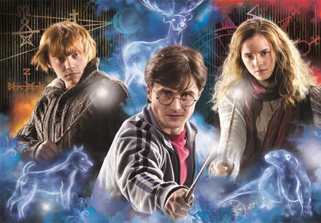 HARRY POTTER - Harry, Ron & Hermione - Puzzle 500P - 2