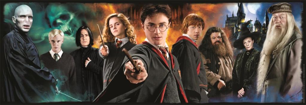 HARRY POTTER - Bien vs Mal - Puzzle Panorama 1000P - 2