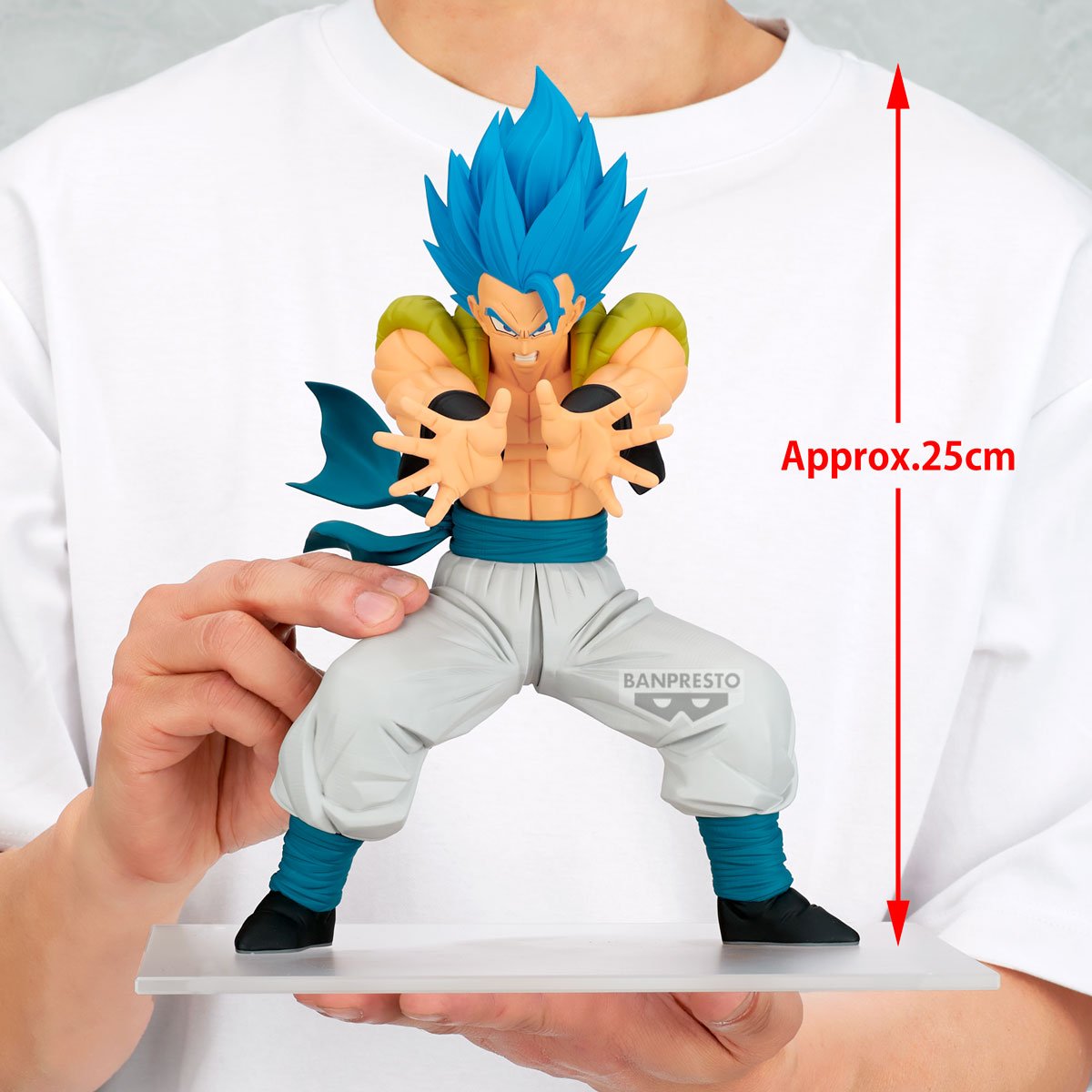 Image agrandie
