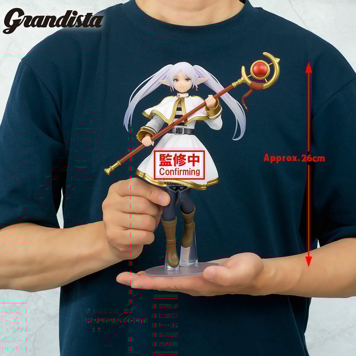 Image agrandie
