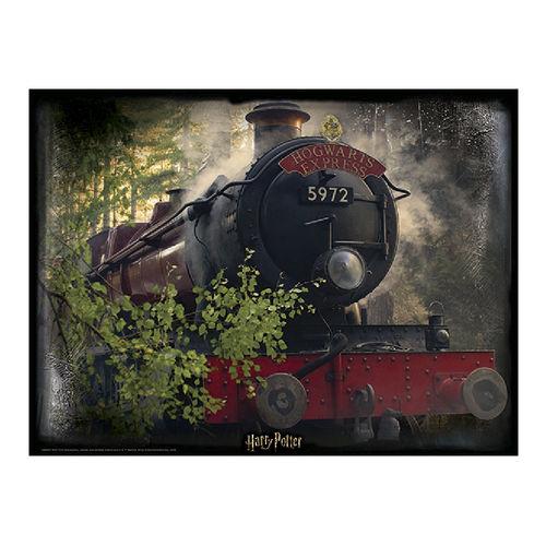 HARRY POTTER - Hogwarts Exp. - Lenticular Puzzle 3D 500P '61x46cm' - 2