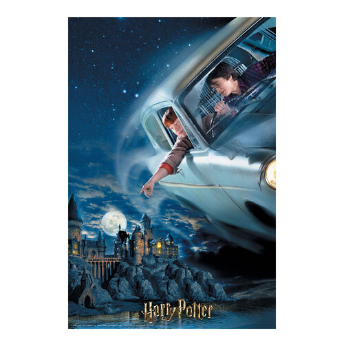 HARRY POTTER - Flying - Lenticular Puzzle 3D 300P '46x31cm'_IMAGE_2