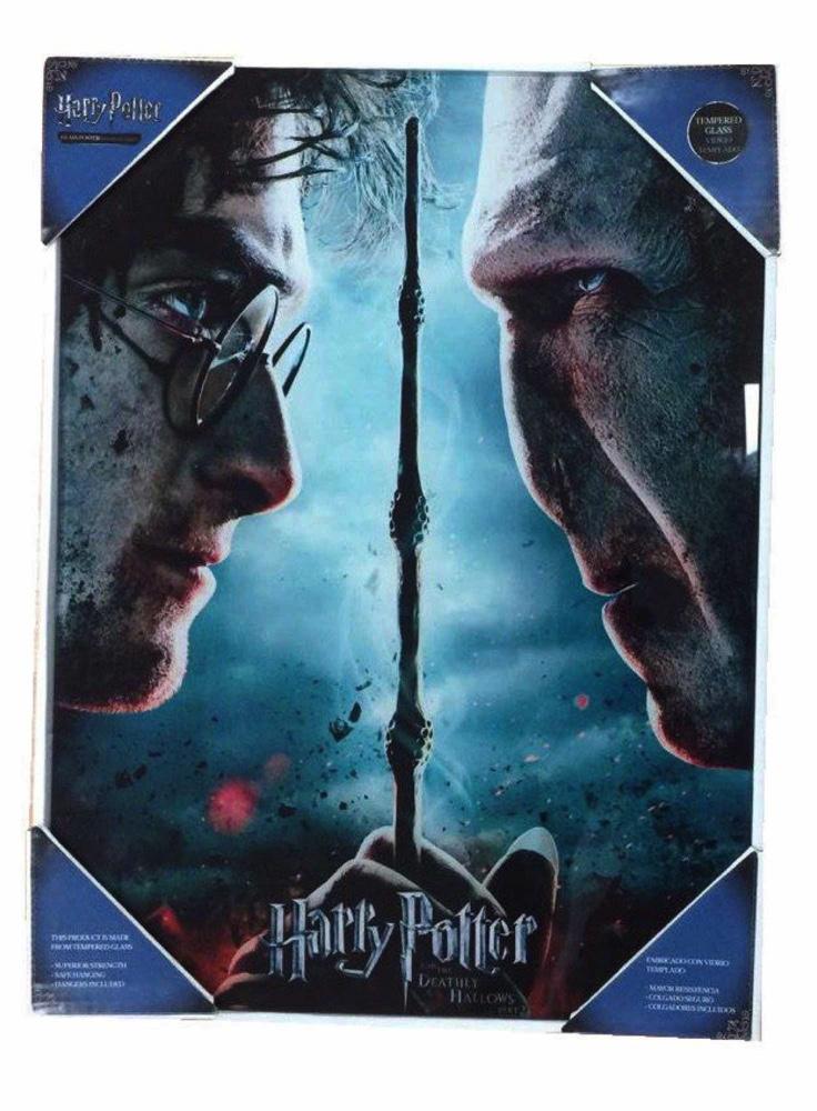 HARRY POTTER - GLASS PRINT - Harry / Voldemort - 30X40 Cm - 2