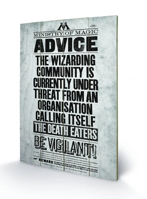 Harry Potter (Be Vigilant) 40x59cm MDF Wooden Wall Art Print  main image 0