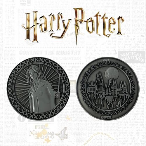 Harry Potter - Réplique de billet antique du Poudlard Express limitée