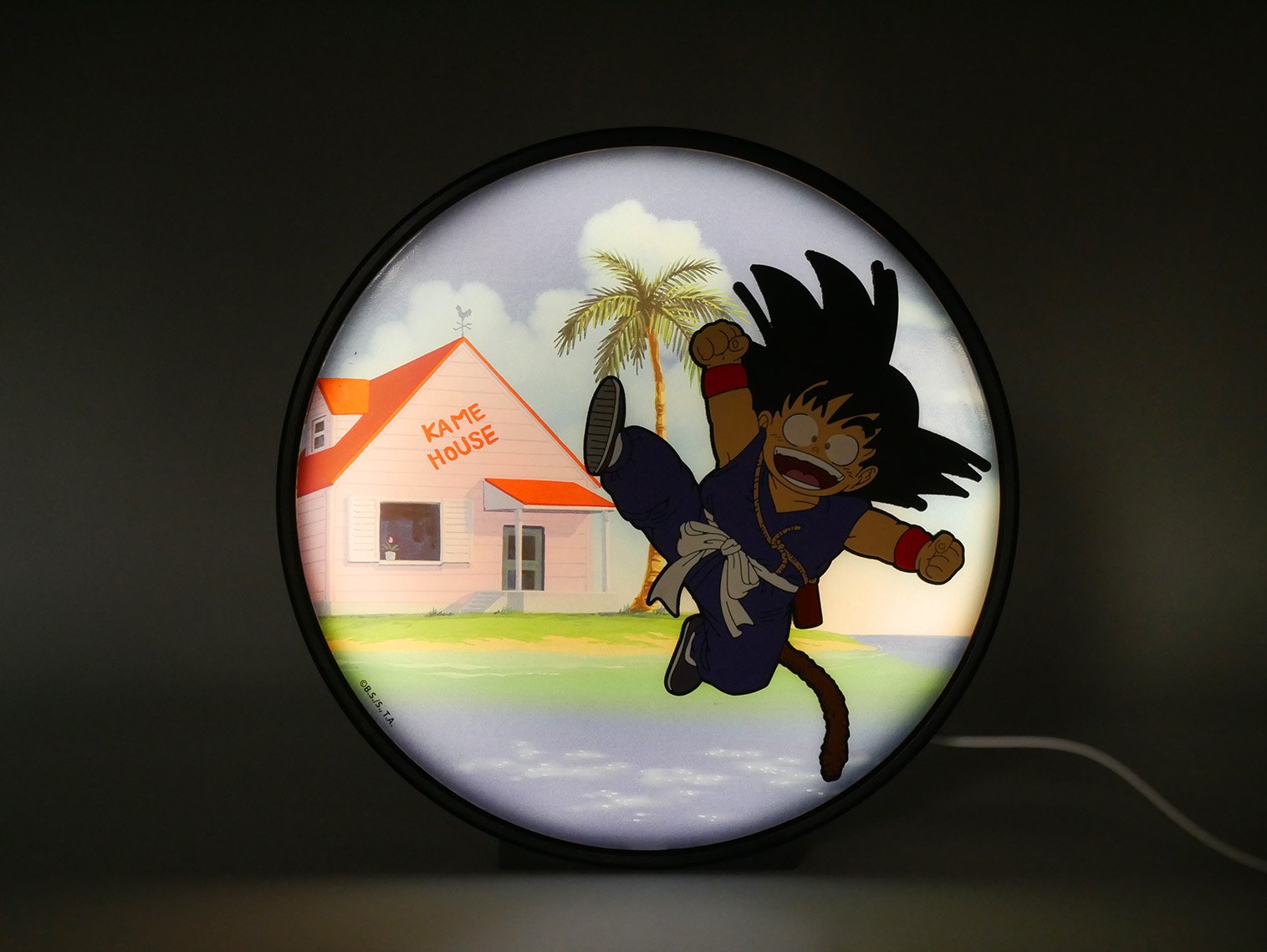 Image agrandie