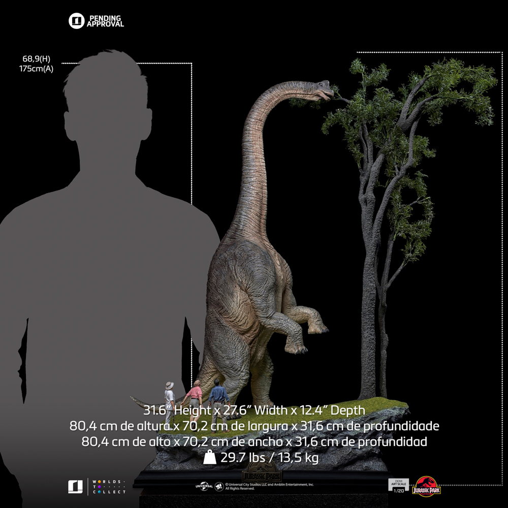 Image agrandie