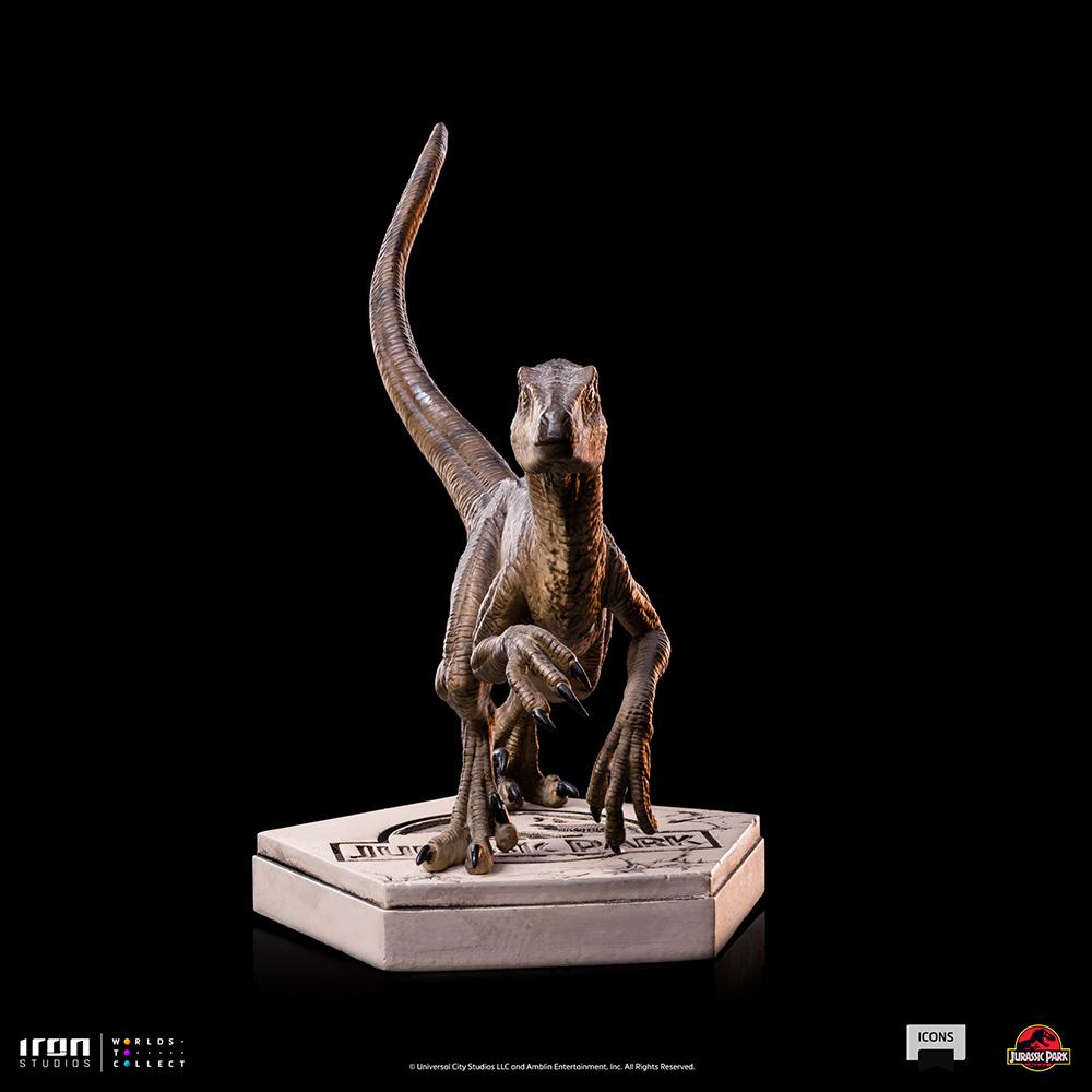 JURASSIC PARK - Velociraptor B - Statuette Icons 9 x 12 x 10cm - 2