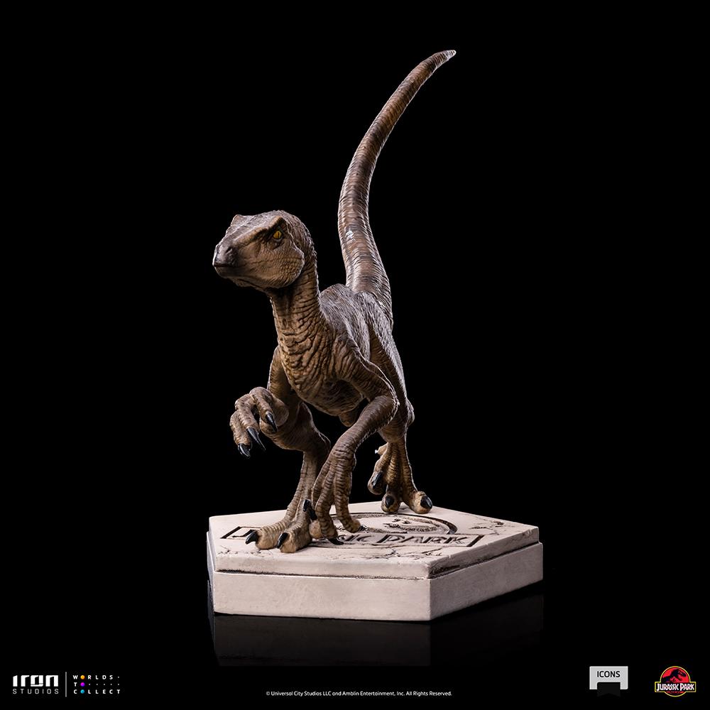 JURASSIC PARK - Velociraptor B - Statuette Icons 9 x 12 x 10cm - 3