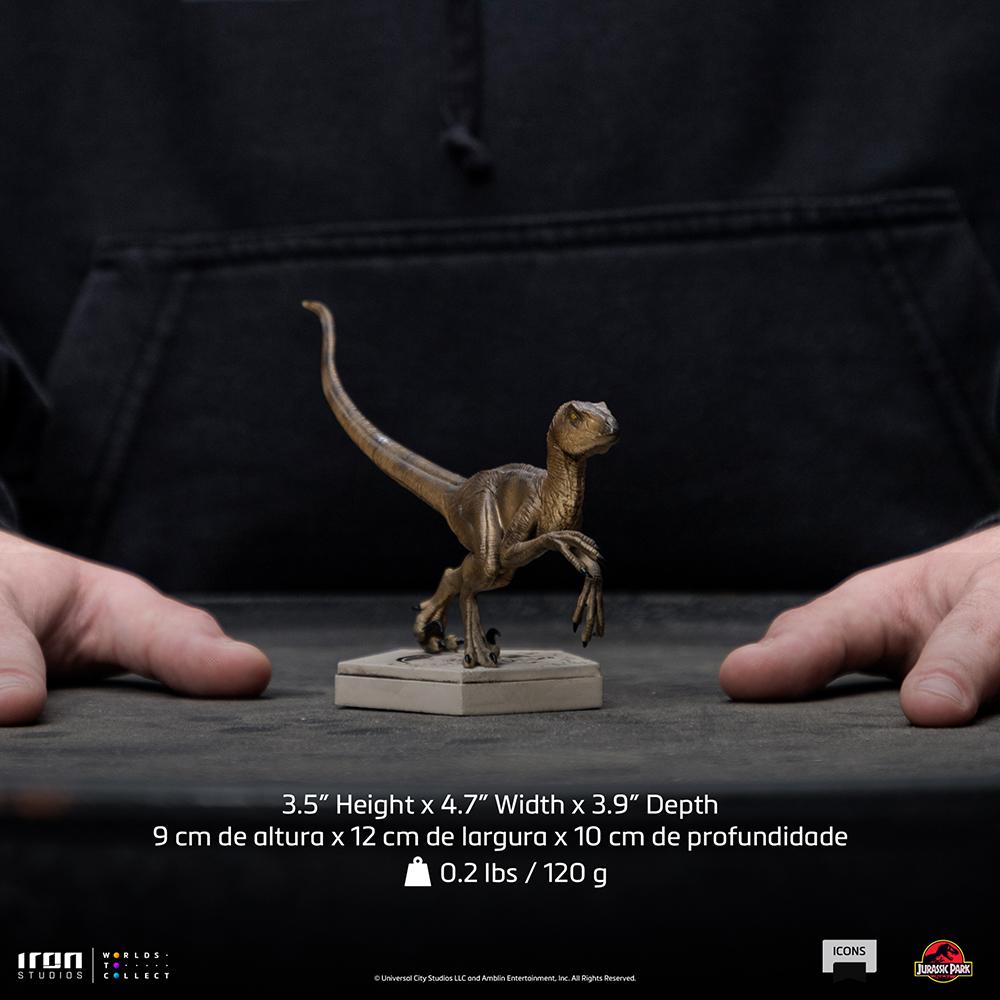 JURASSIC PARK - Velociraptor B - Statuette Icons 9 x 12 x 10cm - 6