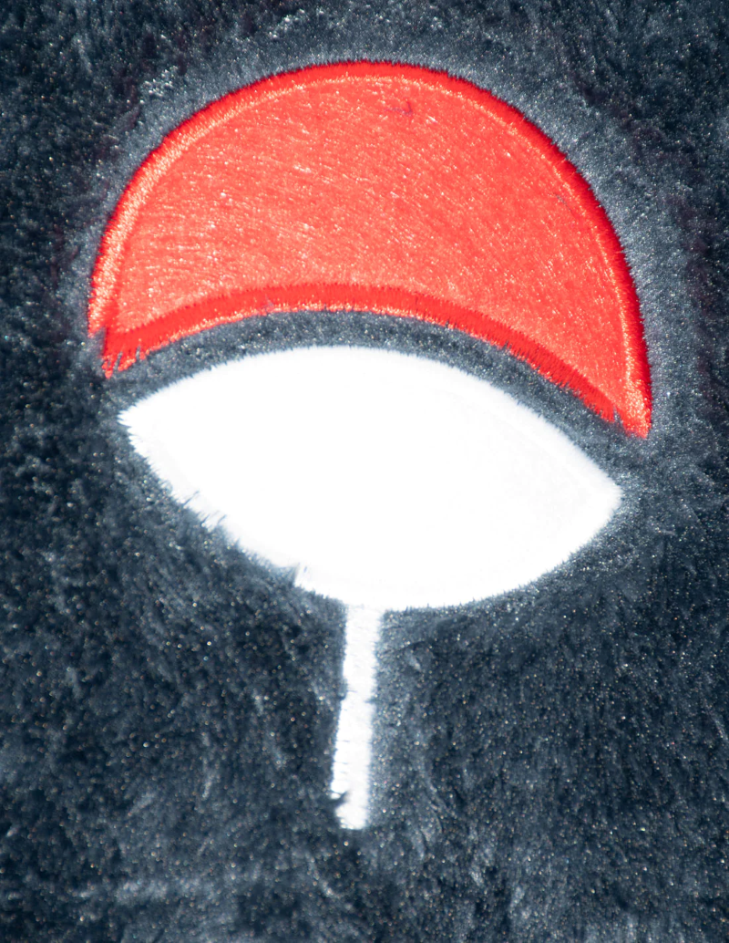 Image agrandie