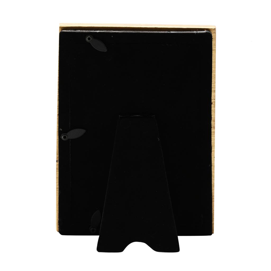 HARRY POTTER - Hedwig - 3D Photo Frame : ShopForGeek.com: Widdop Harry ...