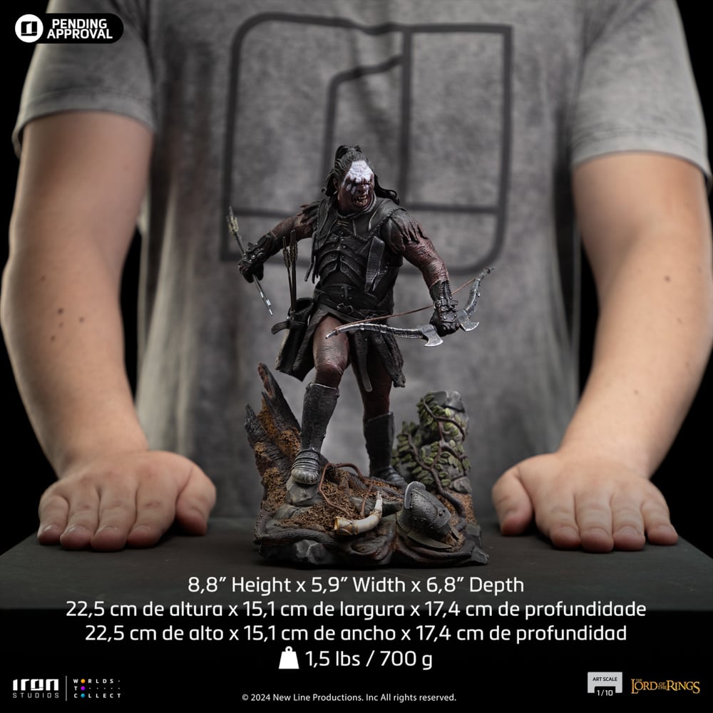 Image agrandie