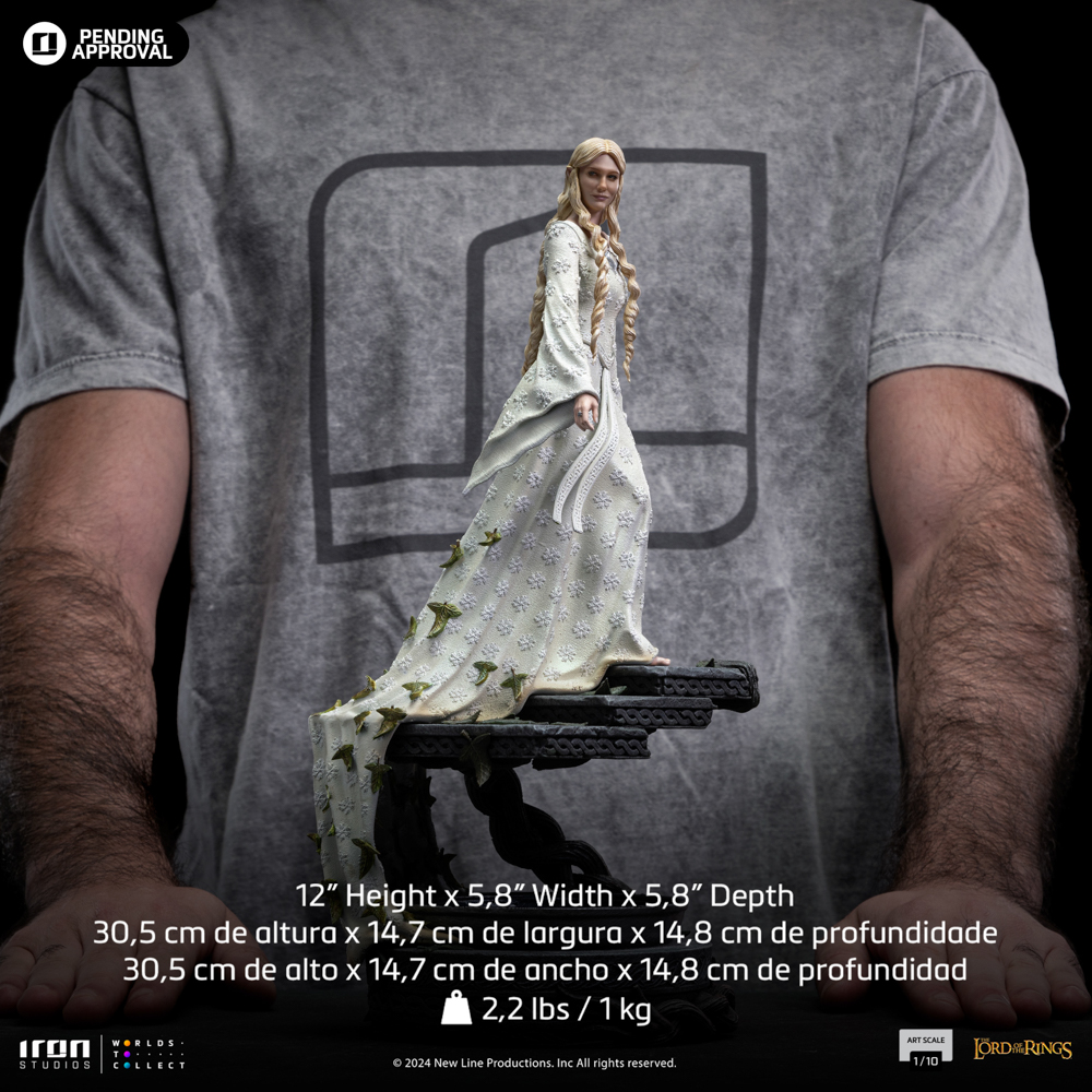 Image agrandie