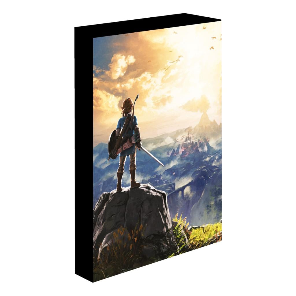 LEGEND OF ZELDA - Into The Wilds - Canvas Lumineux 40X30 Cm - 2