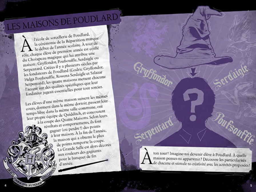 HARRY POTTER - Le journal créatif - Les Maisons de Poudlard - 2