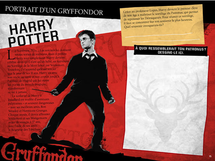 HARRY POTTER - Le journal créatif - Les Maisons de Poudlard - 3