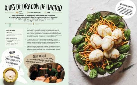 HARRY POTTER - Le livre de cuisine officiel - Super facile - 2