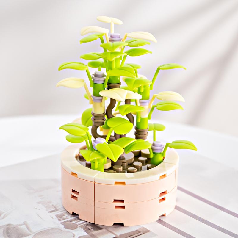 FOREVER FLOWERS - Bricks Succulent - Display 12pcs - 2