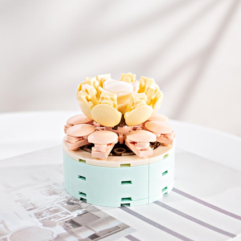 FOREVER FLOWERS - Bricks Succulent - Display 12pcs - 5